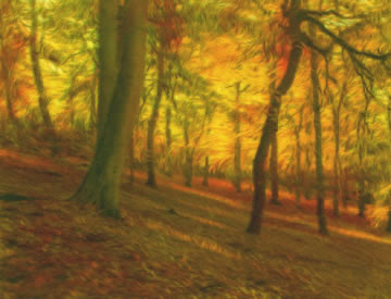 Autumn woods (watercolour)
